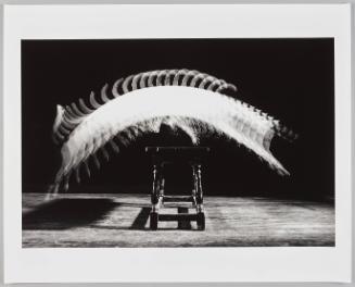 Jackie Jumps a bench