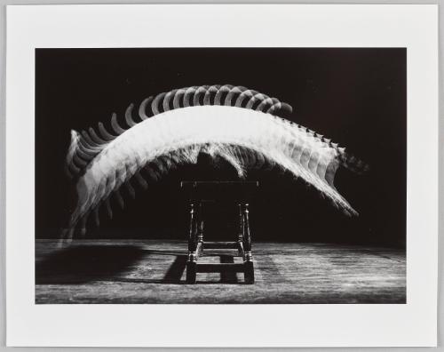 Jackie Jumping (3814)