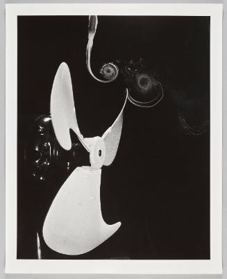 Fan & Smoke Vortices