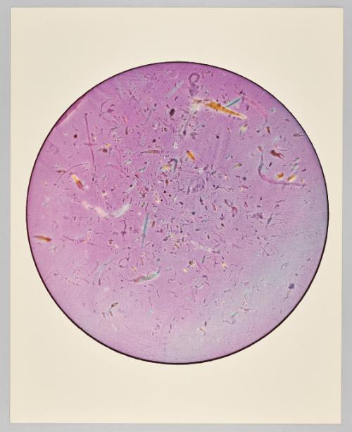 Marine Organisms, 1980