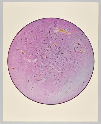 Marine Organisms, 1980