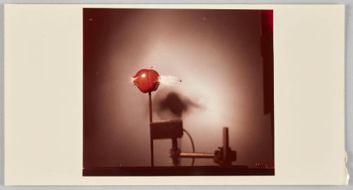 Bullet (Tumble) Thru Apple