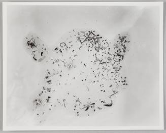 Shadow prints
