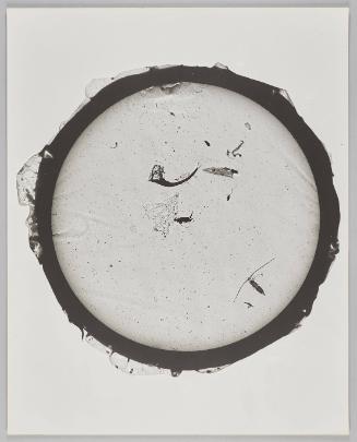 Marine Organism Photogram