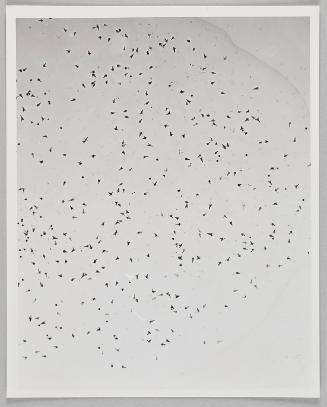 Water Exploration Project 1932-1988