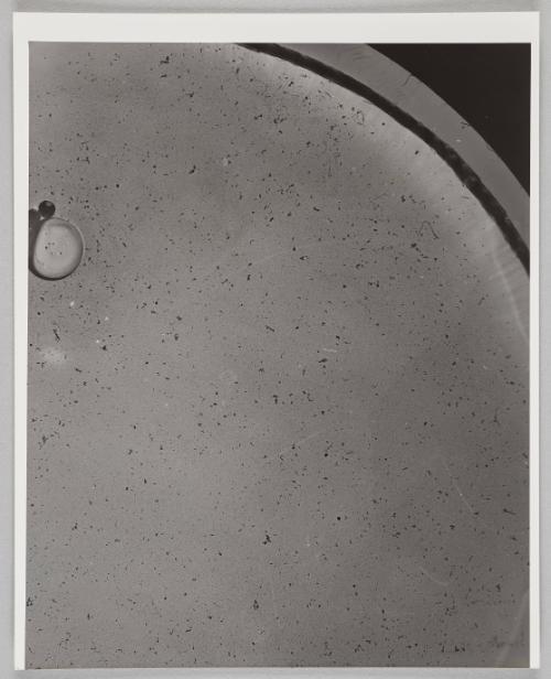 Water Exploration Project 1932-1988