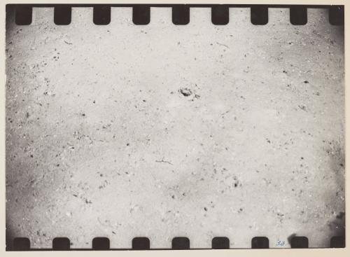 Underwater Exploration Panels