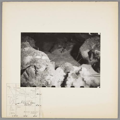 Underwater Exploration Panels