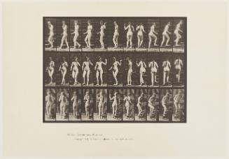 Plate 101: "Animal Locomotion" [Woman and Staircase]