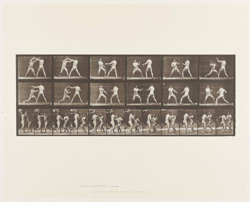 Plate 329: "Animal Locomotion" [Two Males Boxing]