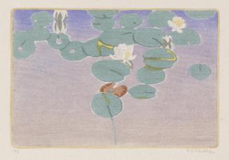 Water Lilies from Ten Canadian Colour Prints Portfolio