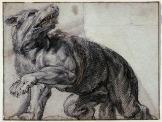 The Wolf (after Rubens' Whitehall Ceiling)